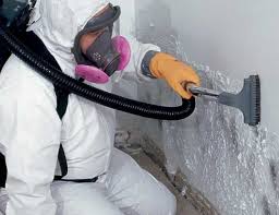 Best HVAC Mold Inspection and Cleaning  in USA